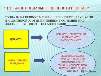 Что такое социальные общественные ценности