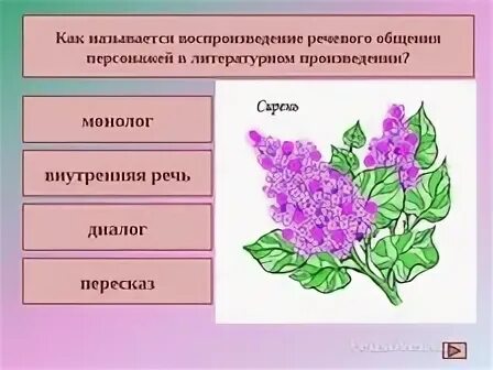 Куст сирени тест с ответами 8 класс. Интеллект карта куст сирени. интеллект карта по рассказу куст сирени. схемы куприн куст сирени.