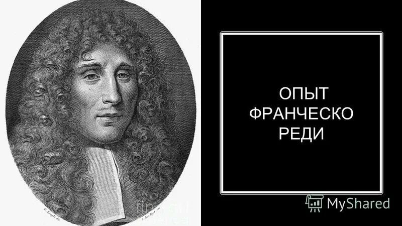 франческо реди вклад в биологию. франческо реди биология. ф реди. ф реди. франческо реди итальянский врач.