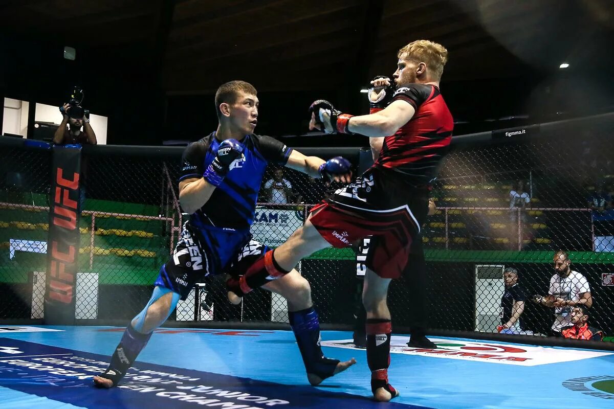 боевые искусства чемпионат. боевые искусства чемпионат. дзюдо. боевые искусства чемпионат. таэквондо итф корея.