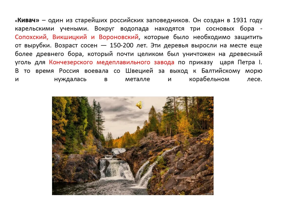 Основная мысль текста заповедник кивач. Заповедник Кивач в Карелии описание. Музей Кивач Карелия. Заповедник водопад Кивач в Карелии. Заповедник Кивач посещение туристами.