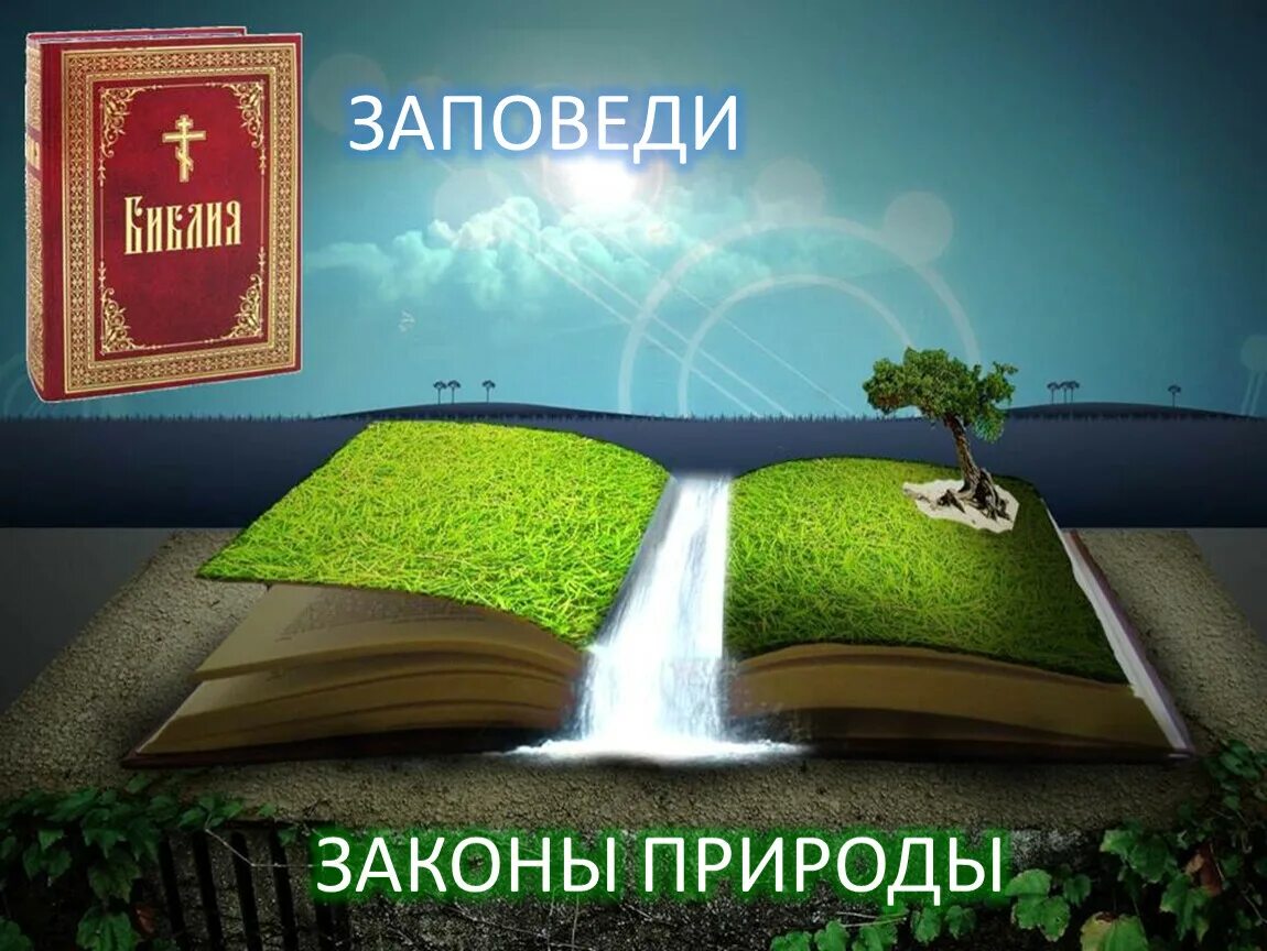 Открывая все новые и новые законы природы. Законы природы. Естественные законы природы. Законы природы для человека. Законы природы рисунок.