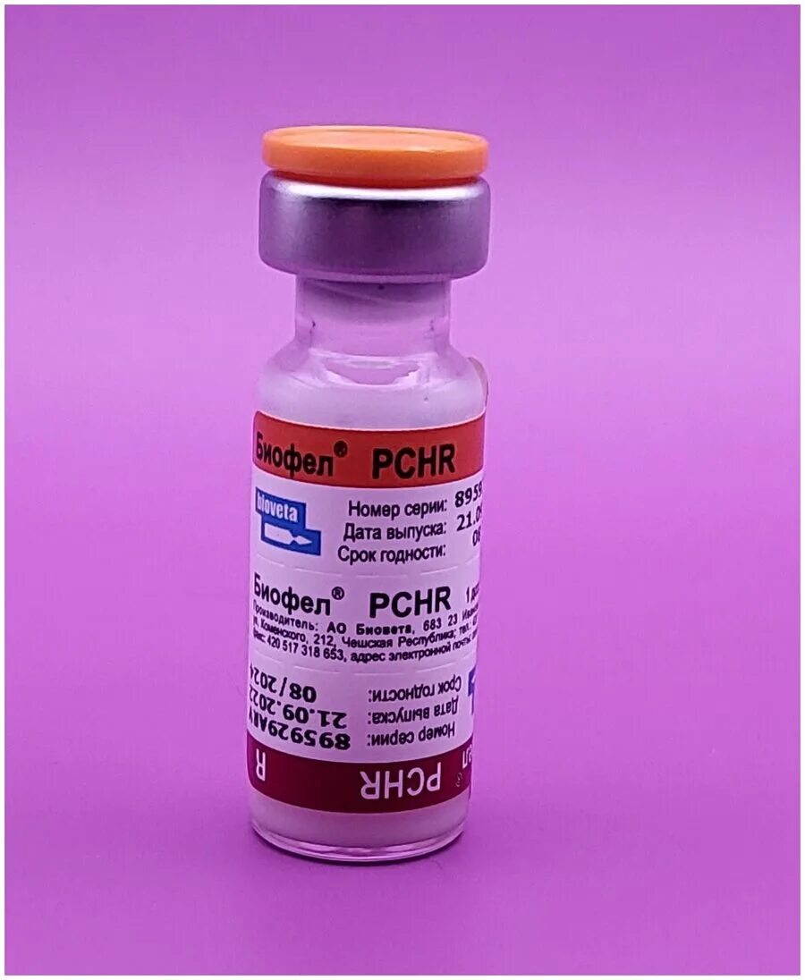 Биофел вакцина для кошек. Биофел pchr. Вакцинация кошек биофел. Чешская вакцина для кошек биофел. Биофел вакцина для собак.
