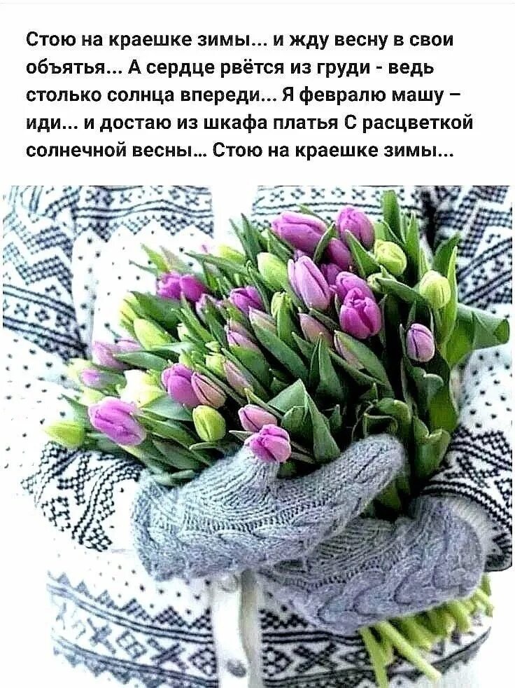 Февраль цитаты. Хочется весны. весенние цитаты. высказывания о весне. хочется весны цитаты.