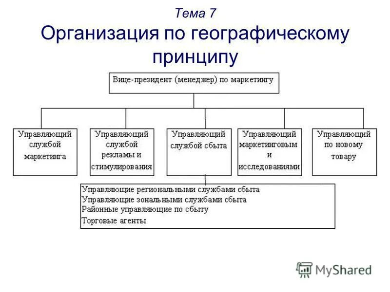 Деятельность маркетинговой службы