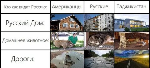 Как видят мир девушки