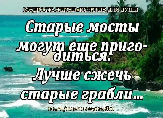 Мудрость жизни просто для души. Мудрость жизни позитив. Мудрости из жизненного опыта. Цитаты мудрость жизни позитив для души. Мудрость жизни просто