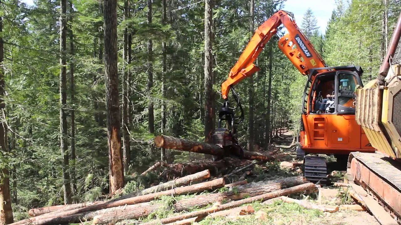 Logging operations
