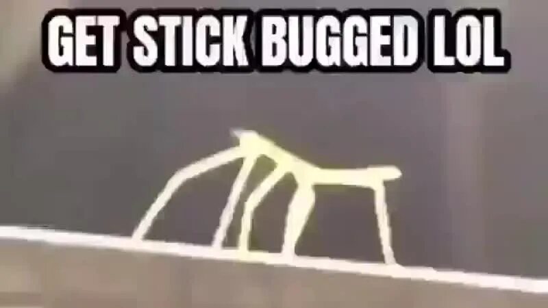 Стик баг. Get stickbugged. Мем Stick.