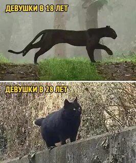 Пошло 20