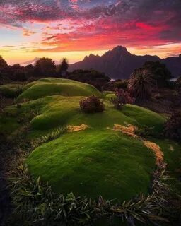 Beautiful world