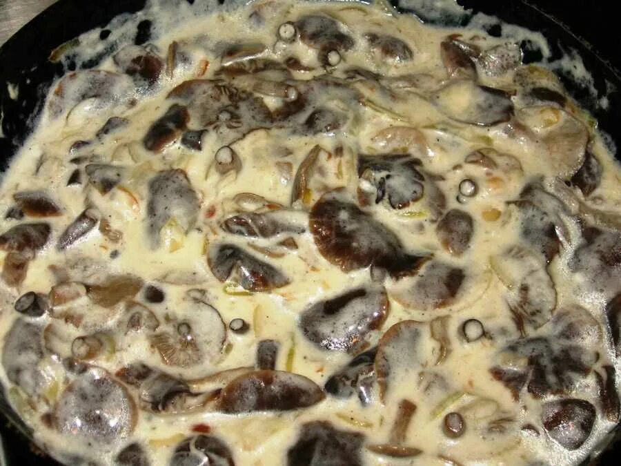 Жареные грибы со сметаной. Грибы тушеные в сметане. Жареные грибы со сметаной. Грибы на сковородке со сметаной. Как пожарить грибы со сметаной.