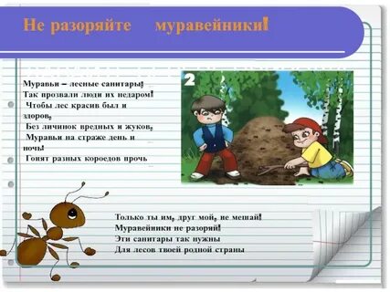 День решает все муравьев