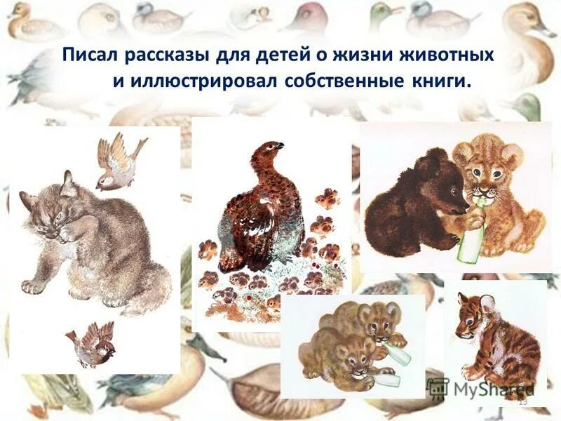 Проект домашние питомцы. Рассказ о жизни животных весной. Сочинение про кошку. Напиши свой рассказ о жизни животных. Рассказ о домашнем животном 3 класс литературное чтение о кошке.