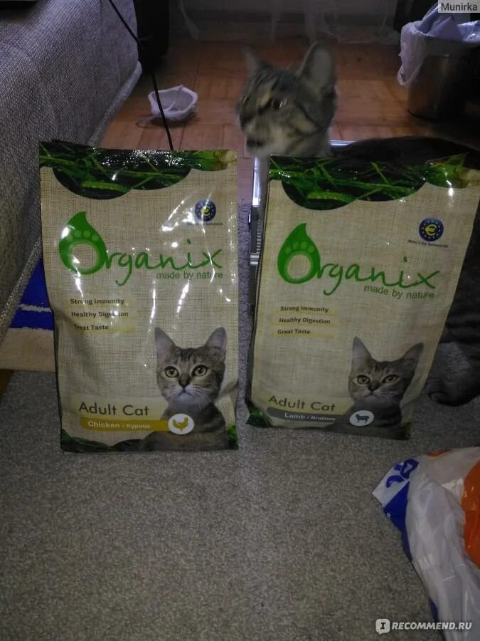 Корм для стерилизованных кошек organix. Органикс отзывы ветеринаров. Корм для собак organix (18 кг) adult dog salmon. Органикс отзывы ветеринаров. Organix для котят.