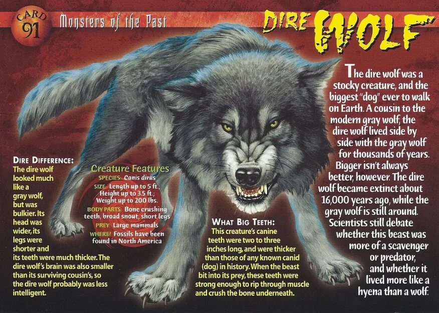 Книга киров волк 90. Вульф мифическое существо. Weird n Wild creatures Wolf. Monsters of the Mind. Волк на английском.