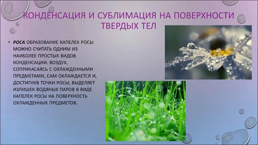 Конденсация воды. Конденсация и сублимация. Образование росы. Конденсация и сублимация в атмосфере. Прошло немного времени роса испарилась воздух