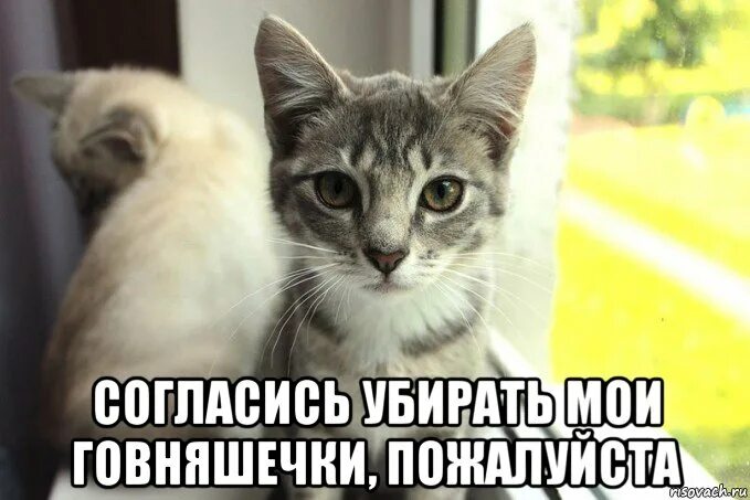 Думать членом. Ты совсем со мной не разговариваешь. Гошка. Ты хотел со мной поговорить. Это совсем не про меня.