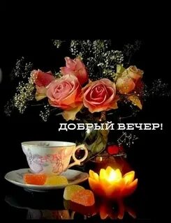 Вечер вторника