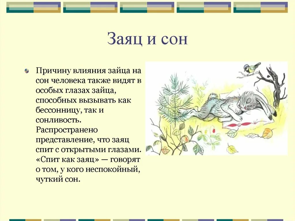 К чему снятся кролики во сне женщине. Заяц для сна. Приснился заяц. Заяц во сне к чему. Увидеть во сне зайца.