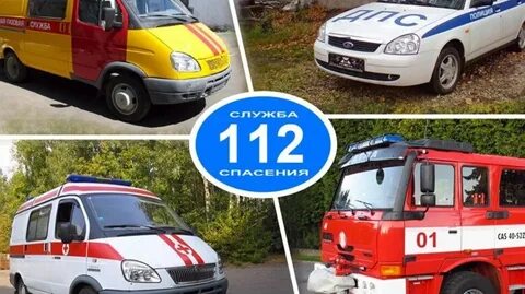 Служба спасения для ковров и шуб