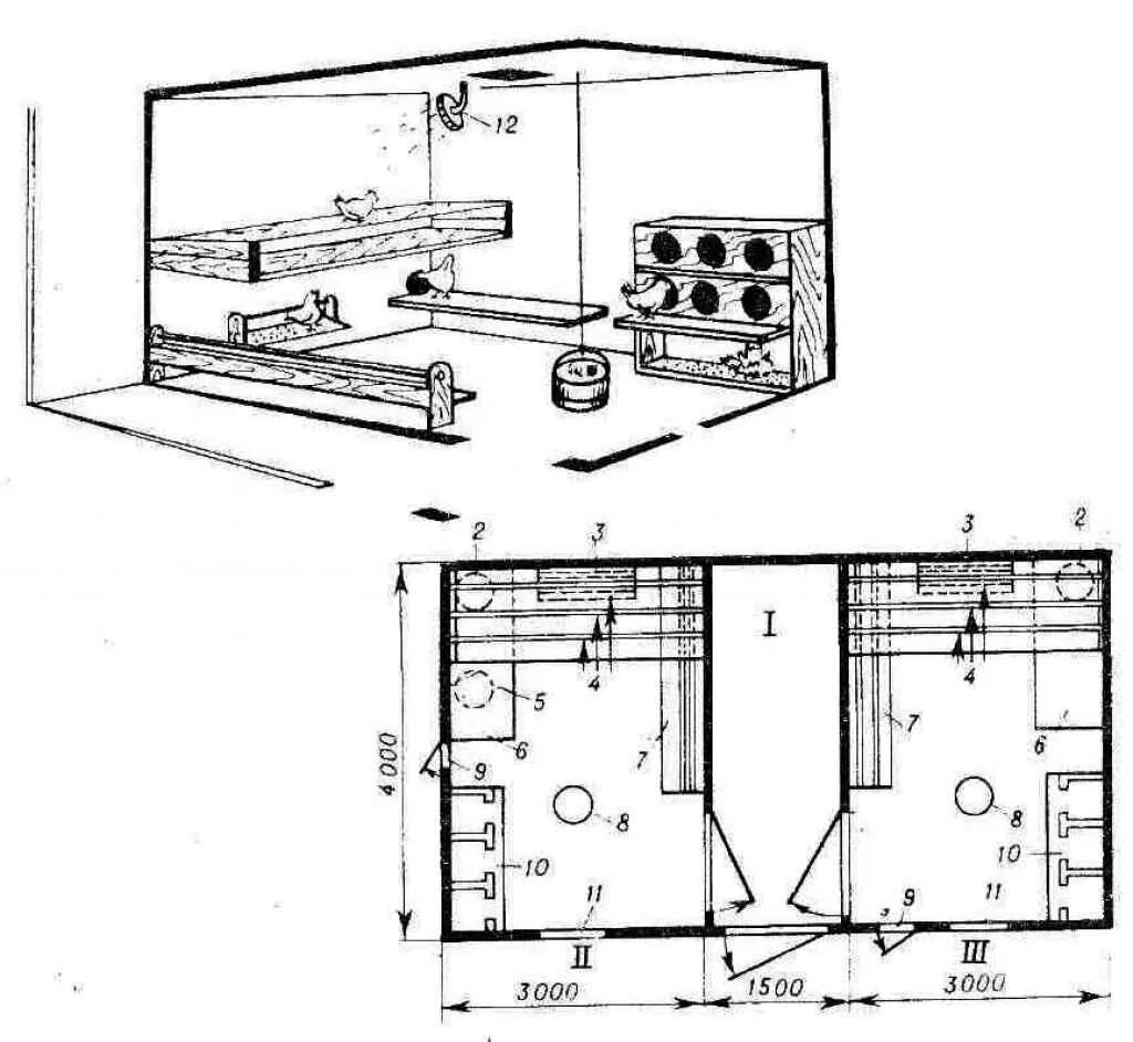 Размер курятника на 10 кур несушек. Курятник на 100 кур несушек чертежи с размерами. Размер курятника на 30 кур несушек чертежи. Схема курятника для несушек и бройлеров. Проекты курятников на 100 кур чертежи.