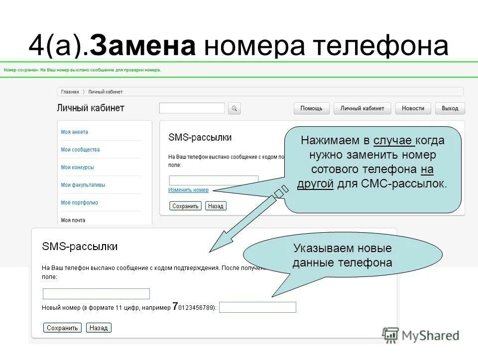 Номер телефона новинок