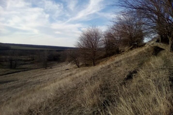 Погода в восходе новокубанском. Горькая балка Новокубанский район. Хутор горькая балка Новокубанского района. Астрокемпинг Новокубанский район. Горькая балка Краснодарский край Новокубанский район.