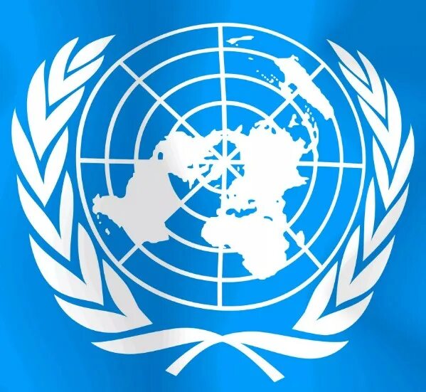 ООН интернет. ООН по промышленному развитию герб. ООН это тест. ООН красного цвета.