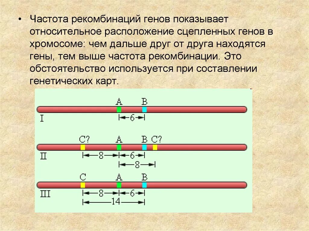 Определение рекомбинации. Формула расчета частоты рекомбинации. частота рекомбинации генов. частота рекомбинации между генами. формула расчета частоты рекомбинации генов.