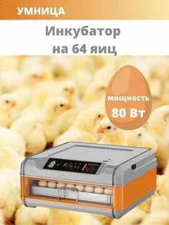 Настройка инкубатора умница