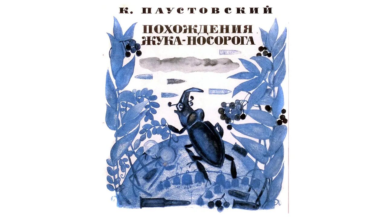 Книга Паустовский похождения жука носорога. Жук носорог Паустовский. Сказка Паустовского похождение жука носорога.