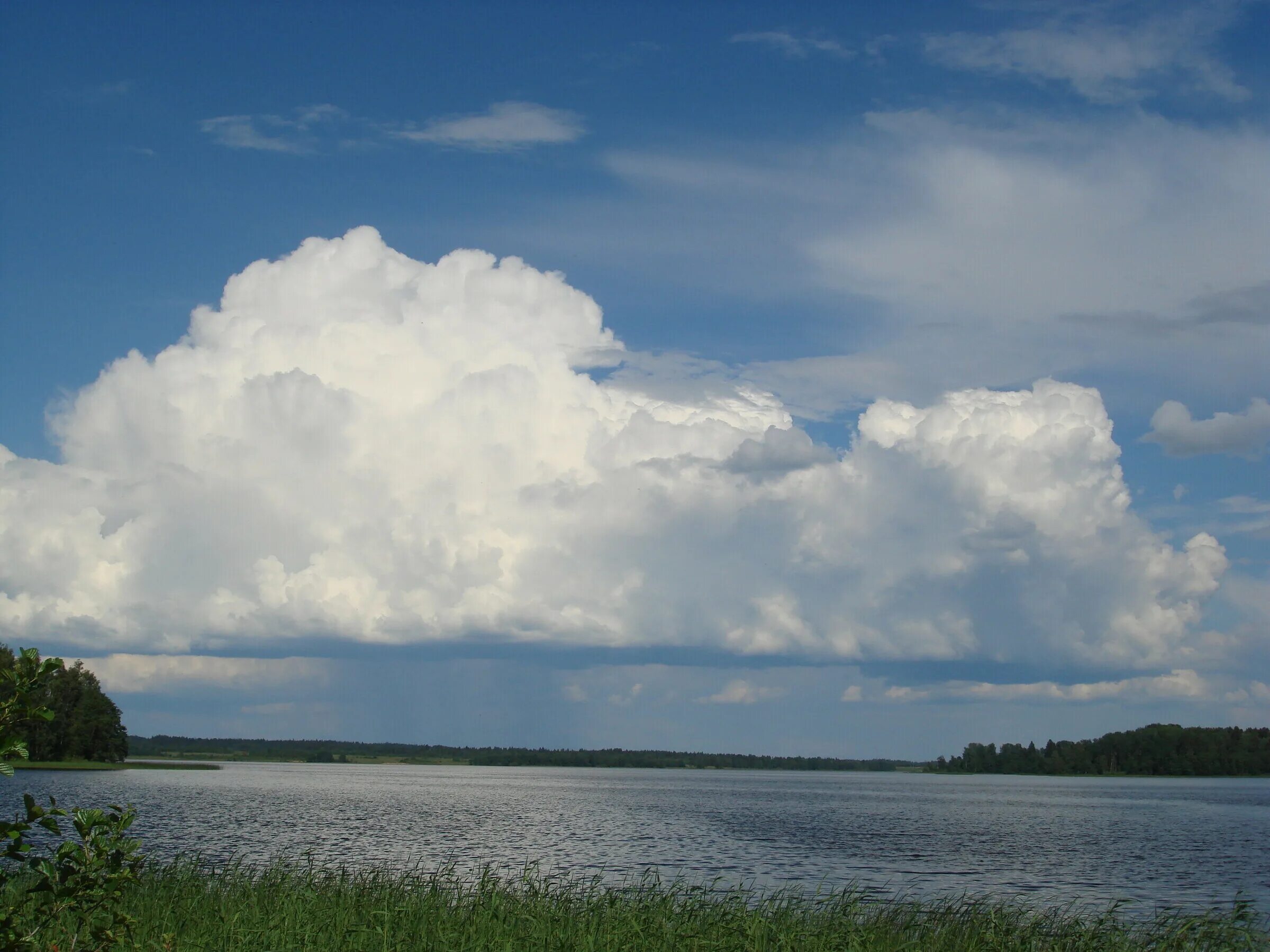 Заозерье новгородская область. Рыбалка на озере заозерье новгородская область. Заозерье новгородская область. Заозерье новгородская область. Боровно озеро окуловский.
