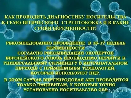 Стрептококк b беременность
