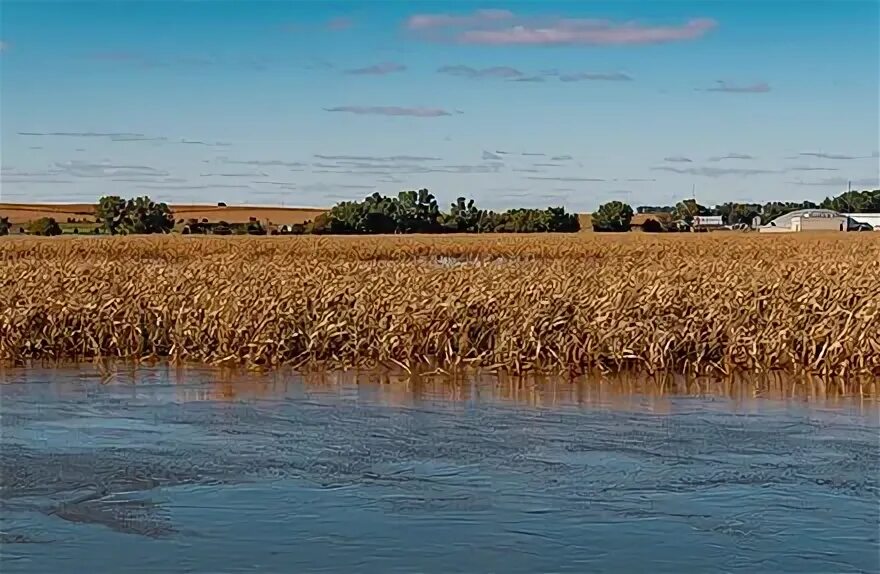 Flood field. Flood field
