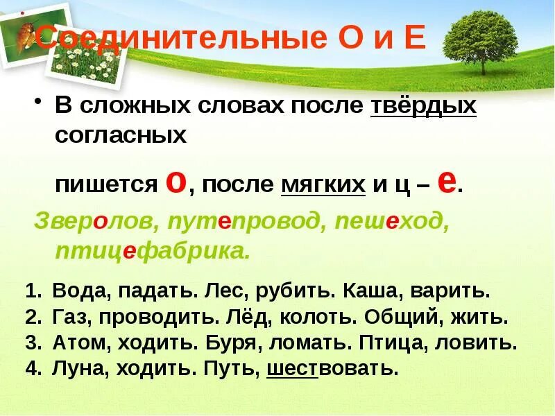 В сложном слове после мягкого согласного пишется соединительная. О после твердых согласных в наречиях. Е после твердого согласного. Е после твердого согласного. Правило соединительных гласных о и е.