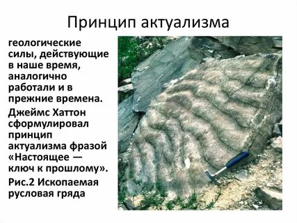 Какие данные геологии послужили