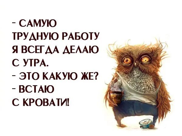 С какой ноги встать в среду. Среда цитаты смешные. статусы про среду смешные. смешные фразы про среду. цитаты про среду прикольные.