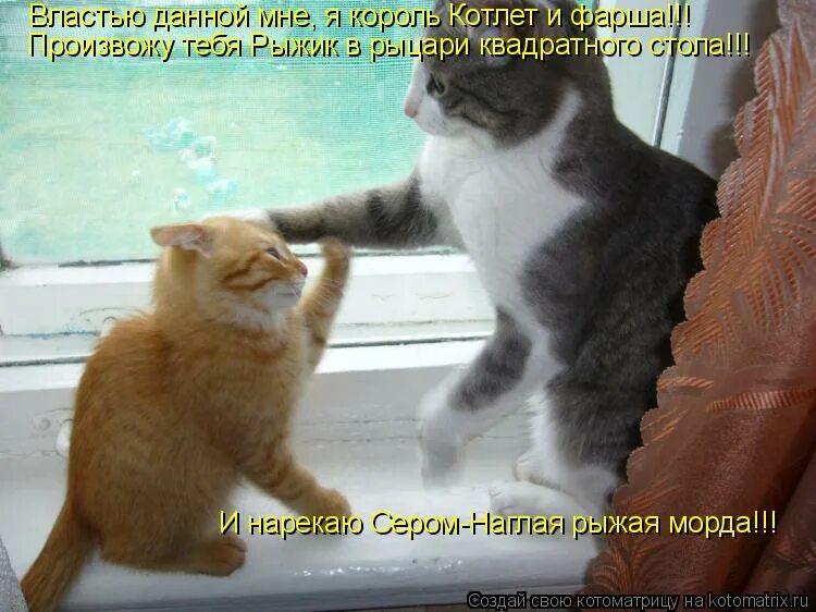 интернет дали. властью данной мне объявляю вас мужем и женой текст. властью данной мне мной. властью данной мне интернетом объявляю себя экспертом во всех. всё для тебя рассветы и туманы.