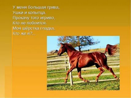 Загадка про лошадь