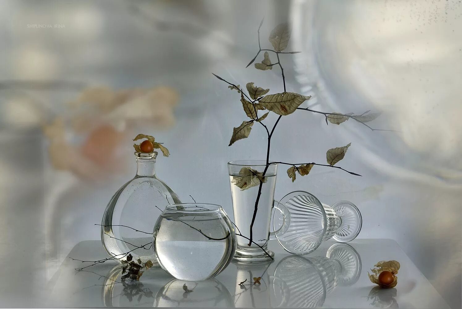 Отражение жизни 3. Фотонатюрморты Ирины Шипуновой. Стеклянный натюрморт. Натюрморт со стеклянным предметом. Прозрачные натюрморты.