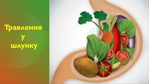 Еда для улучшения пищеварения
