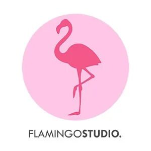 Flamingo studio