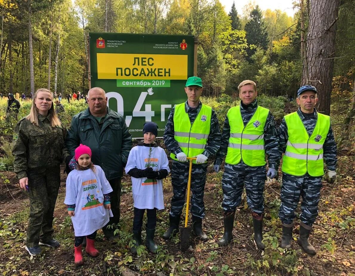 Акция посади дерево. Акция посади лес. Экологическая акция посади дерево. Акция посади дерево картинки. Посади дерево область