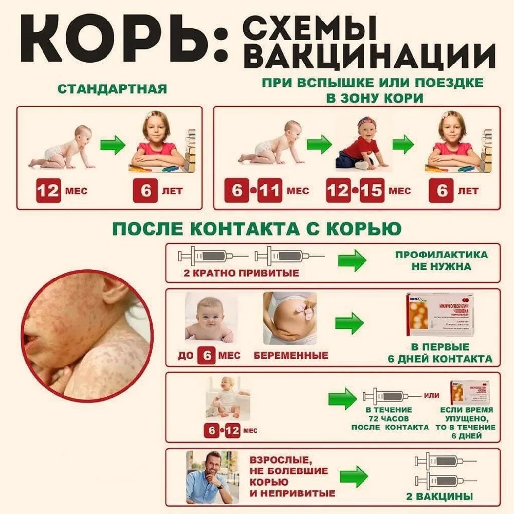 Вторую прививку надо делать. Схема корь корь вакцинация. Корь краснуха паротит схема ревакцинации. Корь-краснуха-паротит прививка схема. Вакцина против кори схема иммунизации.