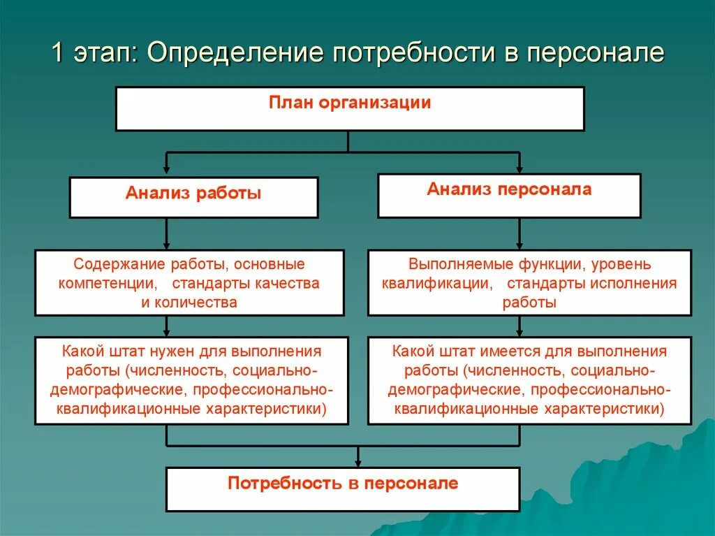 Методы определения потребности в кадрах. Выявление потребности в персонале. методика планирования потребности в персонале. определение потребности в персонале организации. этапы оценки потребности в персонале.