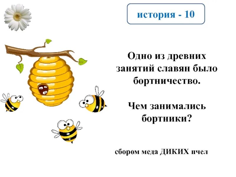 Сбор дикого меда славян. Занятие древних славян сбор меда. Мед диких пчел славяне. Сбор меда диких пчел. Бортничество древних славян.