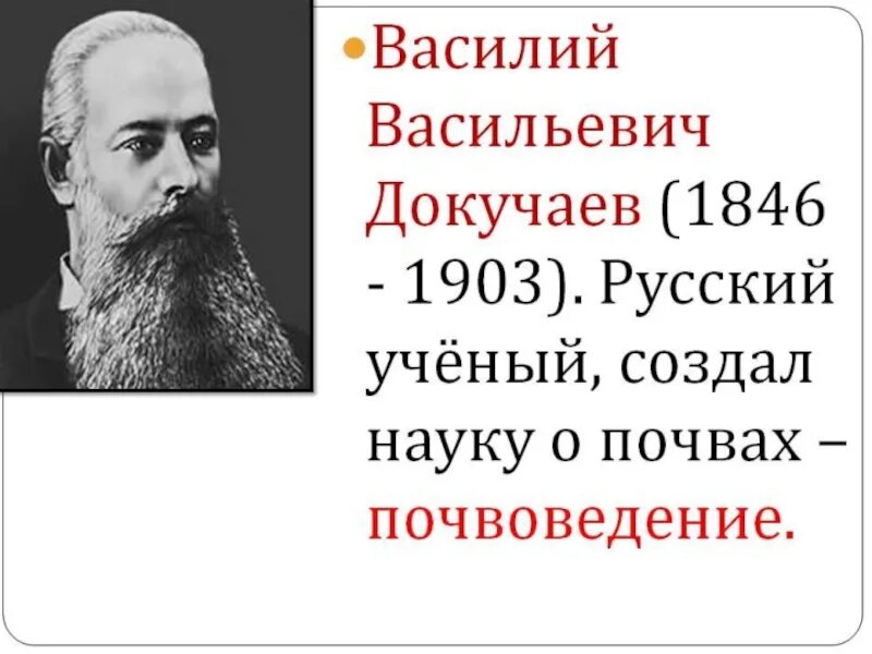 Науку о почве создал. Докучаев почвовед. В. В. Докучаева (1846— 1903).