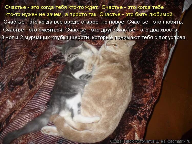 кого любят кого ждут текст. тот кто ждет. счастье это когда тебя ждут дома картинки. кого любят кого ждут текст. давно уже две жизни я живу.