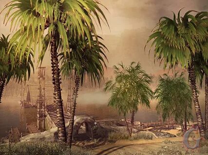Paradise des